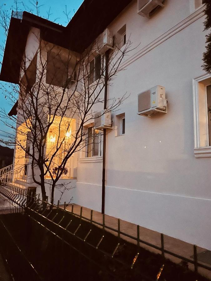 Hotel Cochet Boutique Târgu Jiu Zewnętrze zdjęcie